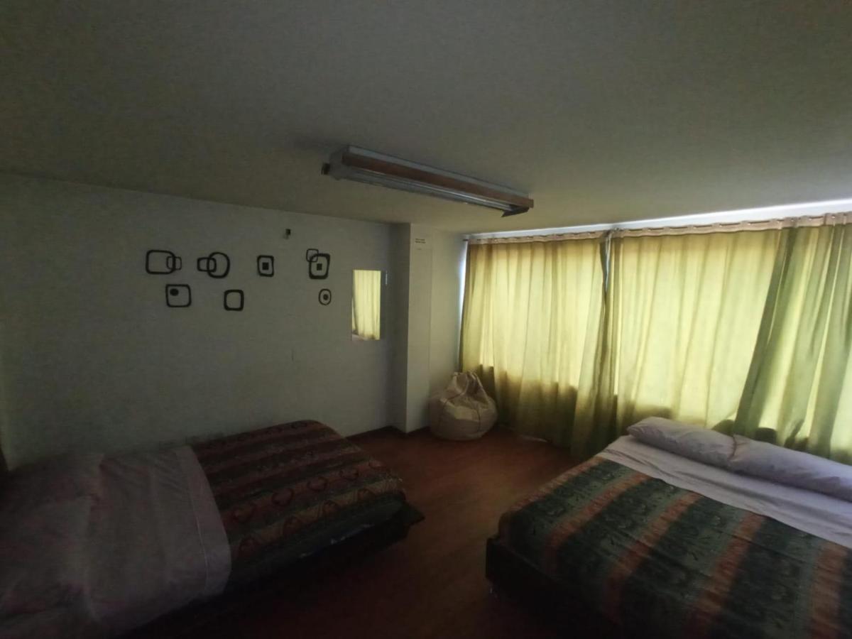 Albergue North House *